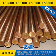 T55600�~�� T56100�A�� T56200�~�� T56300�~�� ���~����