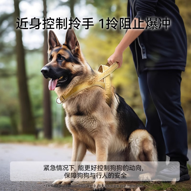 Corda de tracción a prueba de explosiones para perros, cinturón de pecho, perros de tamaño medio y grande, labrador dorado, cuerda de perro para caminar, cadena para perros