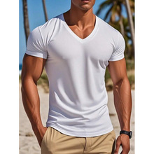 T 48522 Men's V-neck Quick Dry Tee ��ʿ V ���ٸ� T ��