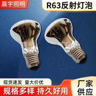 Haining reflective bulb factory wholesale R63 transparent reflective bulb outdoor lighting reflective bulb