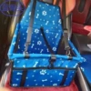 Preview