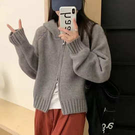 连帽针织毛衣开衫女秋冬装韩系慵懒风宽松短款卫衣双拉链洋气外套