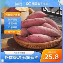 【数乡宝藏】天目山小香薯4.5斤新鲜农家手指小番薯蜜薯甜地瓜a