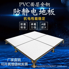 PVC表面全鋼製静電床、空中帯電防止、コンピュータ室、学校配電室、帯電防止600*600
