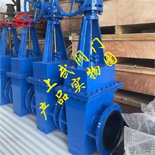 Z42J手动双面密封衬胶闸阀