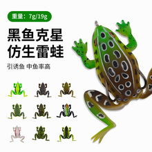 �羳�¿�����ܛ�D�����6.5cm/19g ��Ʒ���b����׌������~���D