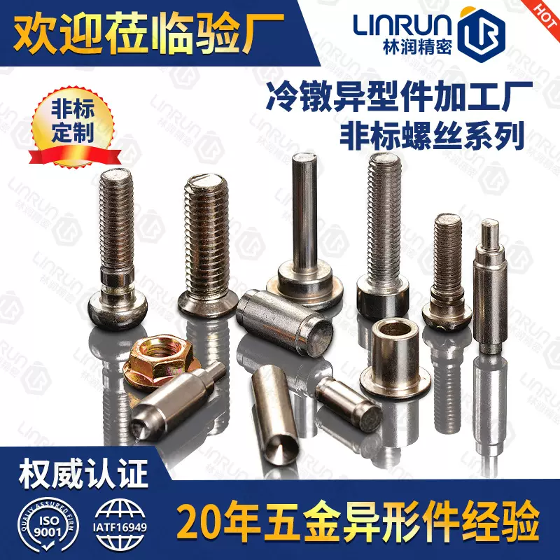 中山定制异型非标螺丝冷镦螺栓热锻特殊螺钉数控加工厂家非标定制