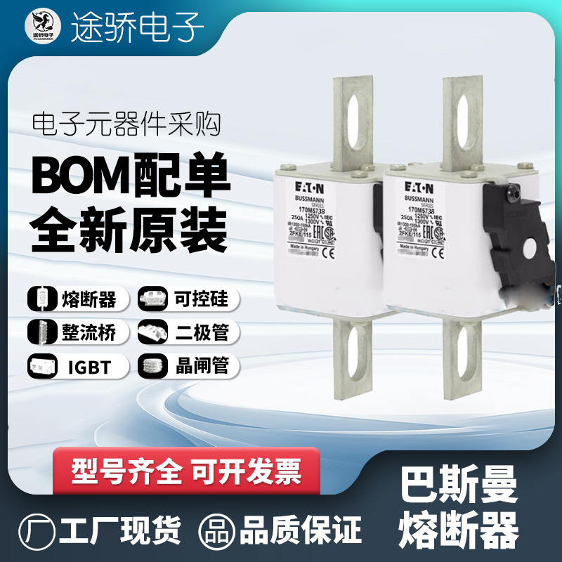 170M5738 170M5739 170M5740 170M5741 bussmann伊顿巴斯曼熔断器