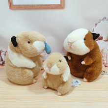 ��������ܺ��m�ië�q��߿ɐ���������������ż�Y�ͯ���