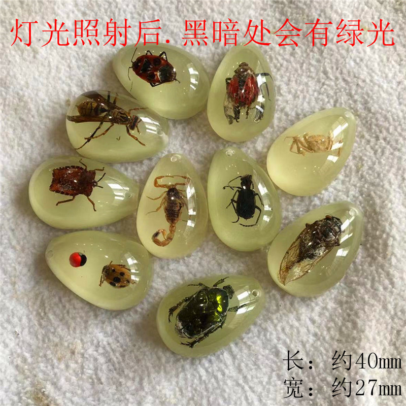 厳選された昆虫琥珀標本、サソリ、蝉、ブラインドボックス、子供向けギフト、教科書、学習、発掘、考古学的ペンダントアクセサリー|undefined