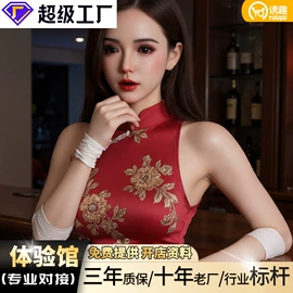 实体娃娃;名器倒模;其他情趣用品