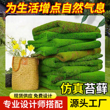 ����̦�\��̦��ƺ�Gɫ�����Ƥ����ֲ��辰�Gֲ�b��������̦