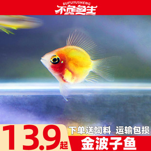 ����Ƥ��������~�S����m�P���~�����~С�͟Ꭷ�~�^�p�~���w