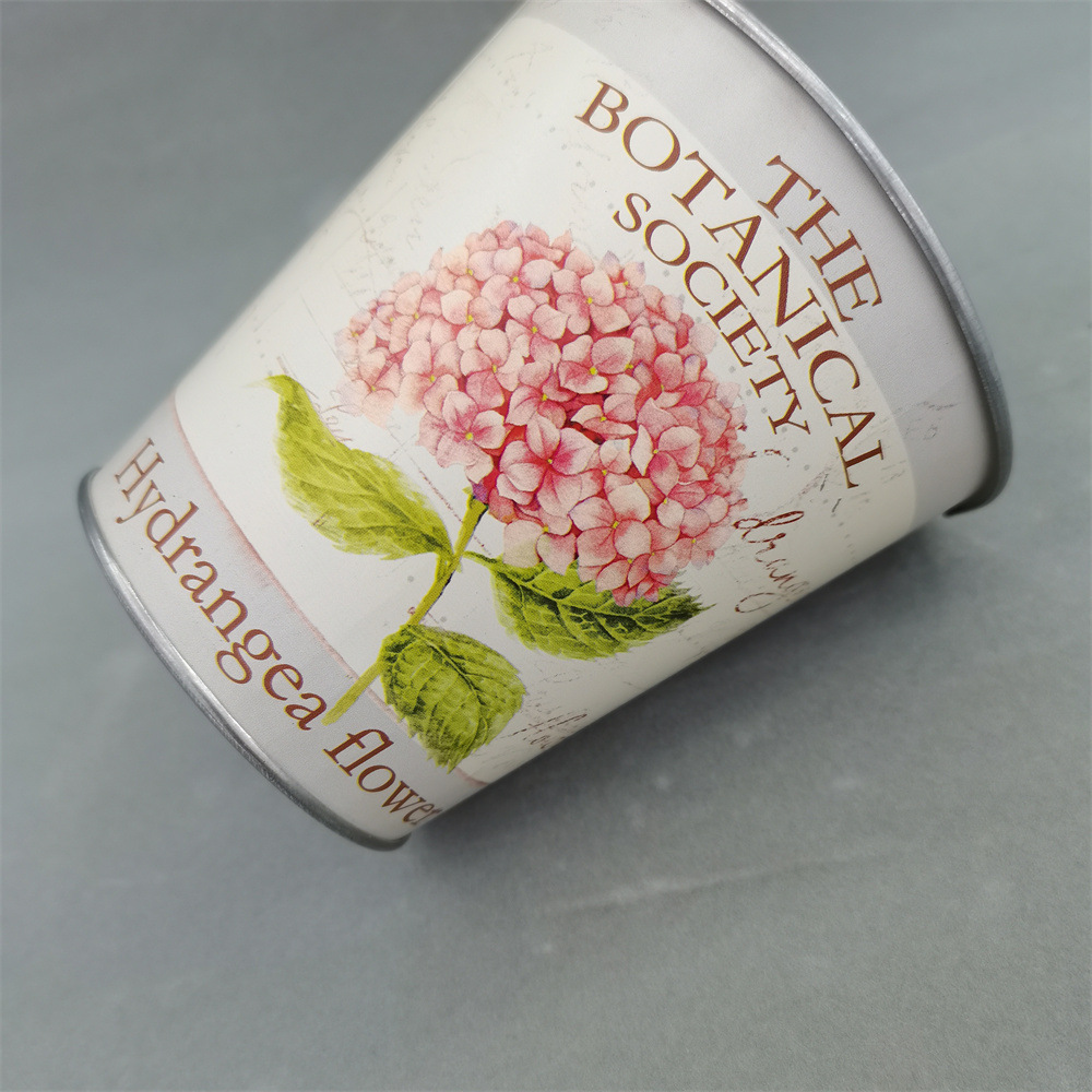 QQ图片20231116135925