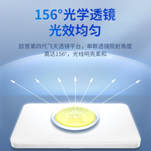 �����픟��¿�����led�A�Ο��͏d���͟�2024���������͏d