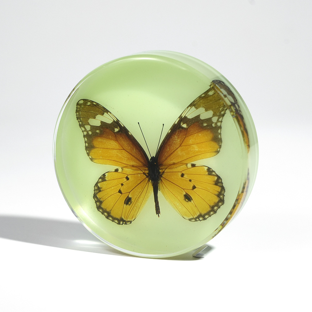 Glow-in-the-dark butterfly