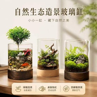 �����~��΢���^���Bƿˮ��Gֲ��̦�\�쾰�����������b�ƿ�[��
