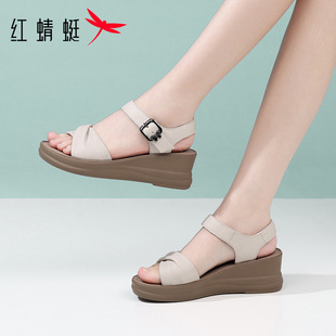 �t������ƤŮʿ��������¸���ЬŮ��2026�¿��ļ���Ƥ������ȹ��