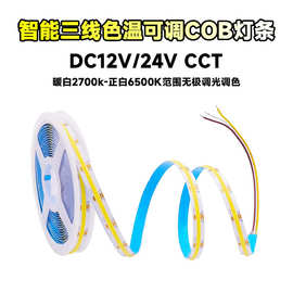 智能COB576灯调光调色灯条色温led冷暖色可调灯条CCT全光谱12/24V