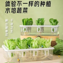 �o���������ܻ����ͥˮ���߲��O�����˷N�˙C�̨���ˮ���Nֲ��