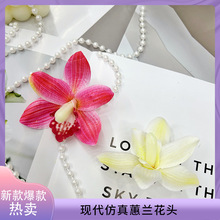 ���滨ޥ�m���^����^�����l�A��c���ֶY�������ò廨�S�����l