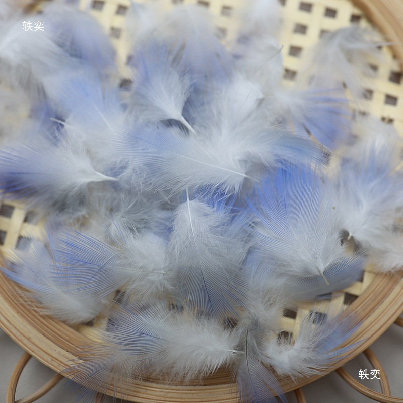 点翠羽毛 稀有鹦鹉毛 点翠diy材料手工服饰工艺品羽毛配件