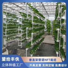 无土栽培设备水培架NFT工厂叶蔬菜大棚智能立体种植垂直水培系统