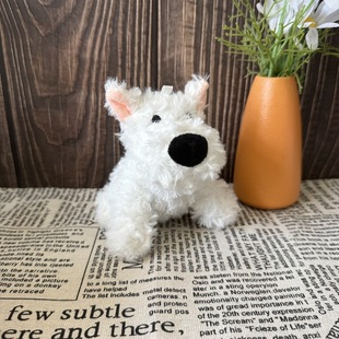 �ɐ����ߵ���żë�q����耳׿�С��������նY��������ë�q���