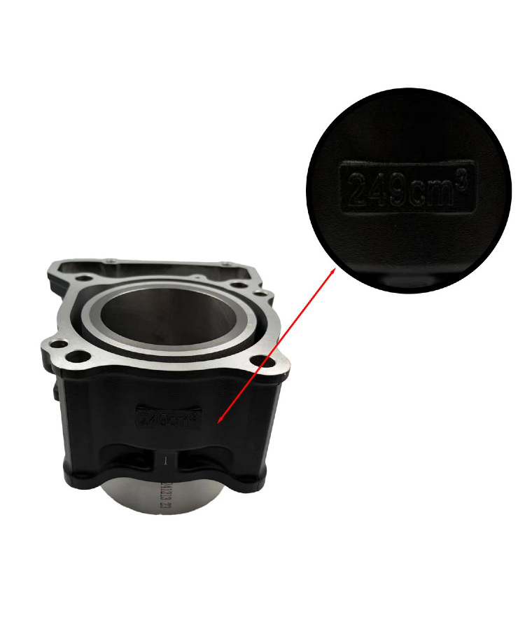 Cross-Border Applicable Parts for Cfmoto Cf250Nk/Cf250-A/250Sr Cylinder Assembly, Middle Cylinder Manufacturer, Automotive and Motorcycle Parts