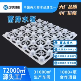 排水板;工地施工材料;网格板