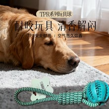 狗玩具漏食玩具TPR球西瓜球咬不烂耐咬磨牙洁齿互动解闷金毛包邮