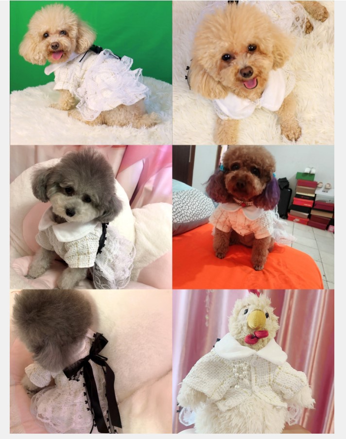 Sweet Polyester Bow Knot Pet Clothing display picture 2