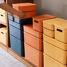 ���ռ{��С̖��ʳ�·��s����������ÏN���{�����σ���������l