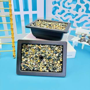 Simulation Green Planting Special Flower Pot Rectangular Rain Flower Stone Welcome Pine Plastic Basin Household Office Desktop Decoration