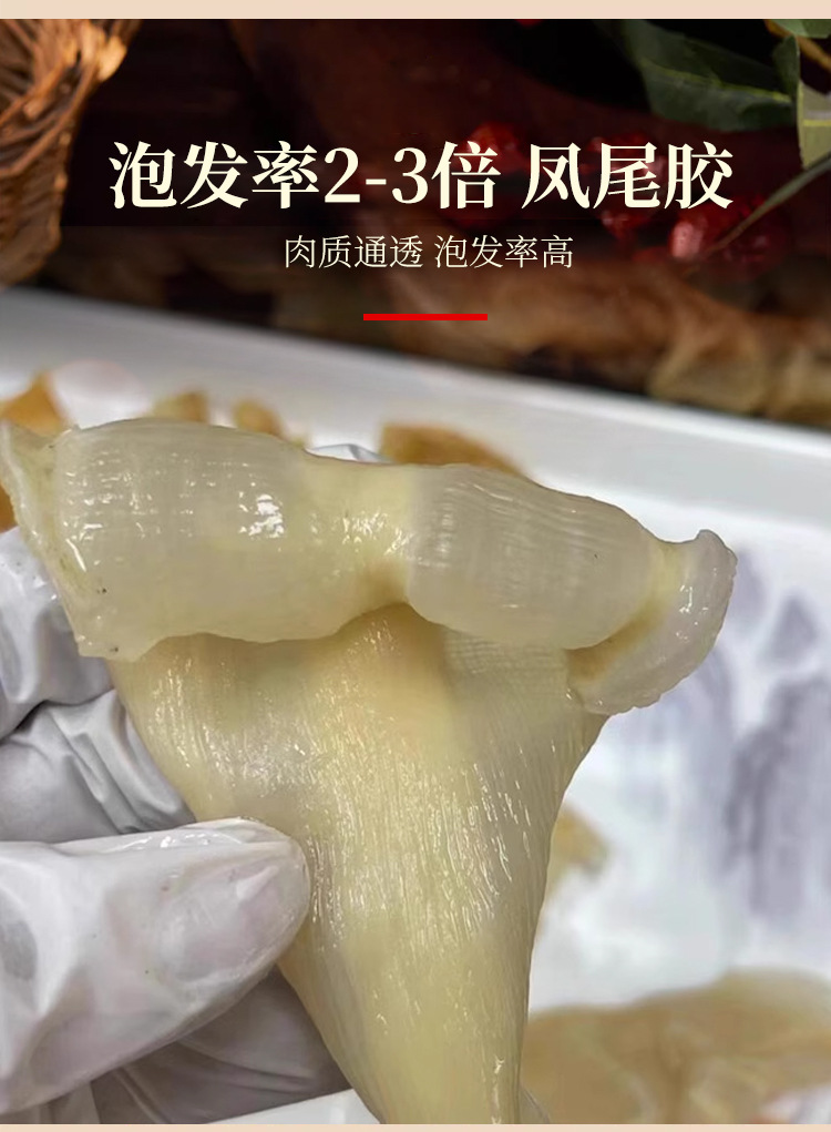 Feng Wei Jiao Fish Maw Dried Phoenix Tail Fish Gelatin 500g 60 Head Soup and Dessert Grade quality and texture
