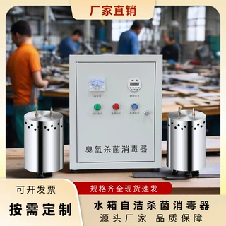 水箱臭氧自洁消毒器外置式水箱自洁内置式WTS-2A水箱消毒机杀菌器