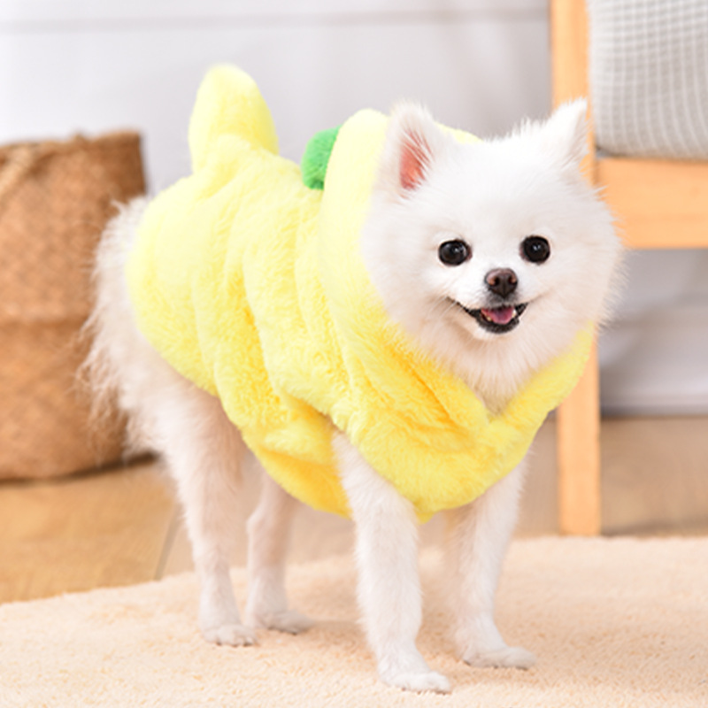 애완견 개 옷 가을과 겨울 따뜻한 변형 테디 파두 코기 고양이 강아지 봄 재미있는 도매