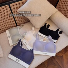 奶皮运动风无钢圈一体式固定杯女士内衣背心式聚拢舒适胸罩外单