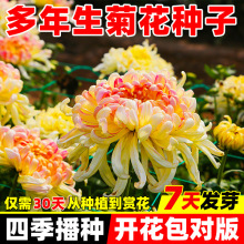 þջNƹҾջNļ_̨ͥԺxð׾ջN