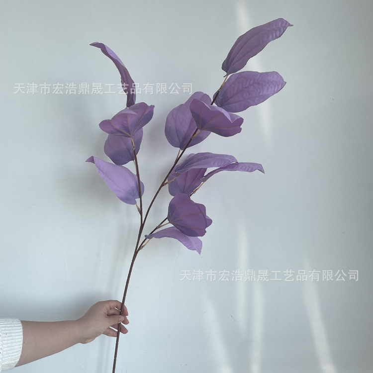 微信图片_202205021521403_副本