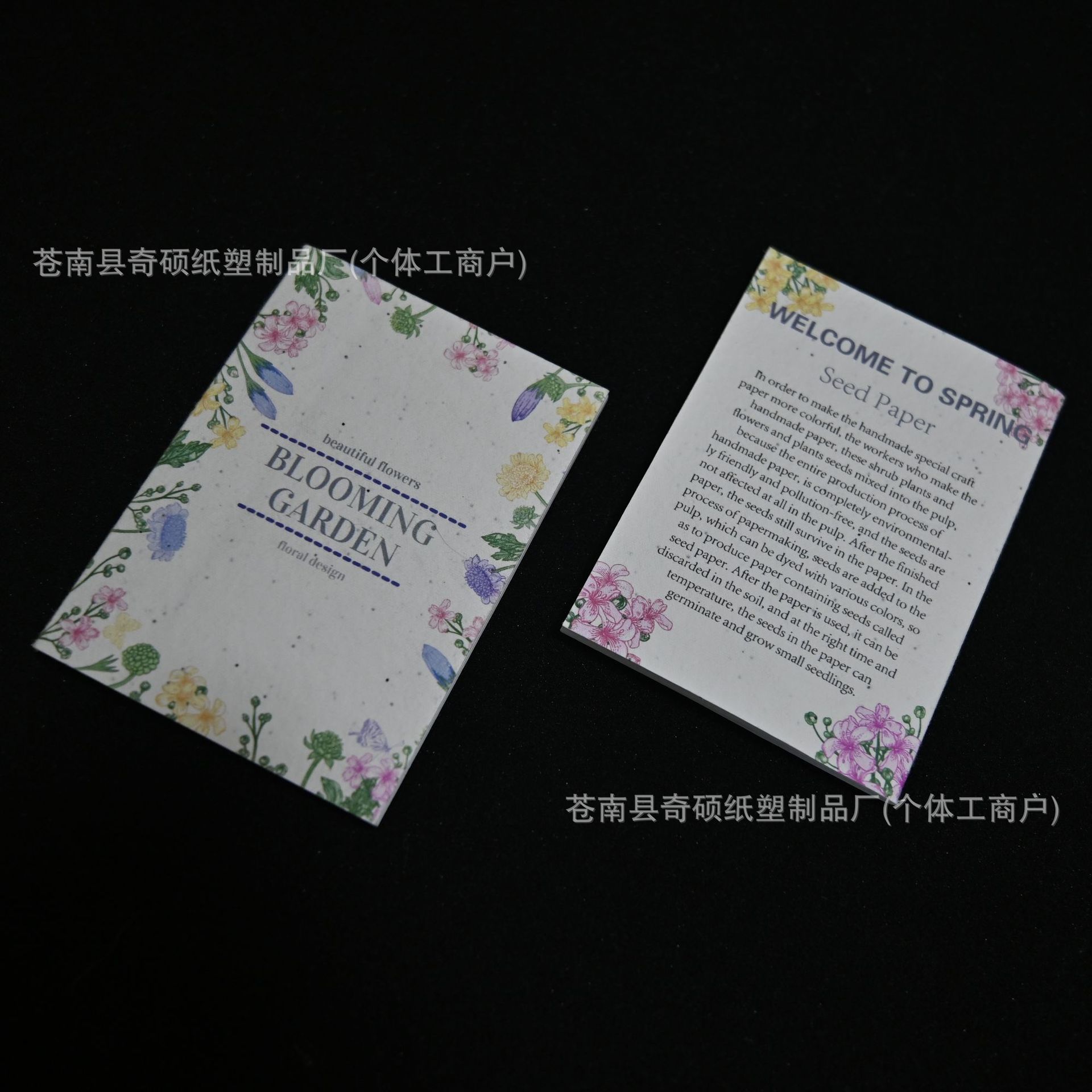 DSC_2432.png