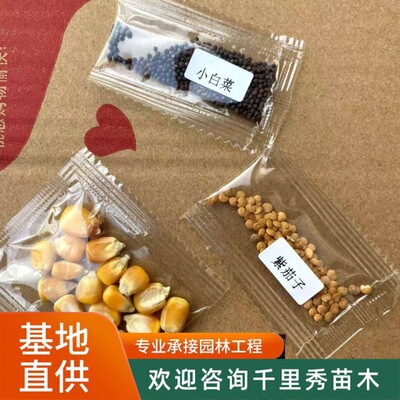 玩具种子分包小包装猫草碗莲水草花草蔬菜学生观察实验工厂加工|ms