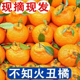 �Fժ�F�l�Ĵ���̳��ٹ��ۻ������r����ˮ���ք������̳���һ����