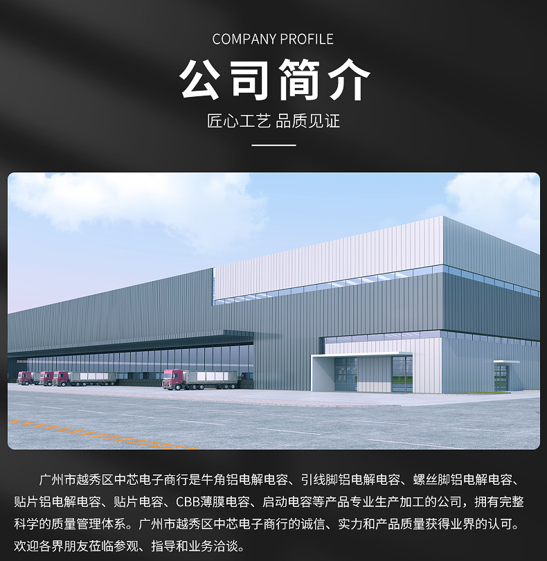 铝电解电容器详情页_12