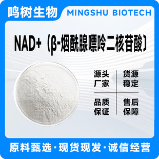 NAD+ &beta;-���������ʶ������� NAD+ԭ�Ϸ�ĩNMN