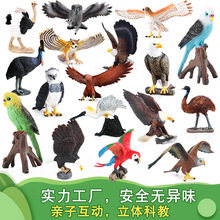�羳�����w���B���ģ��؈�^�����@�b��^�Ҽ҃�ͯ�J֪��ߔ[��