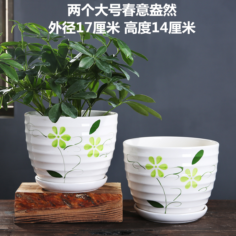 봄이 가득한 대형 2개 특가 - 세라믹 - 대형