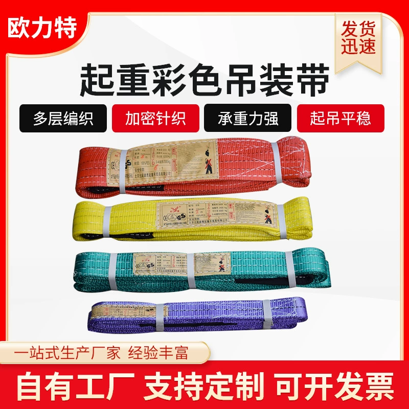 Пояс пояса 1 Т1М цвета поднимаясь 3 тонны ленты цвета двойного полиэстера цвета пряжки Поднимаясь Пояса поднимаясь