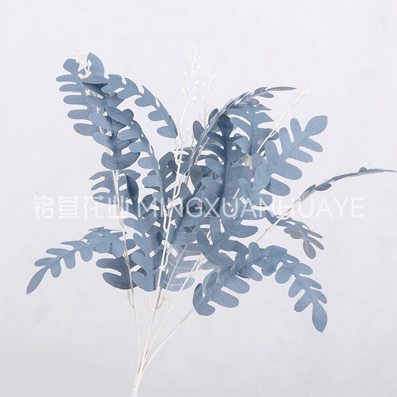 안개빛 하늘색 - 아카시아 잎 다발