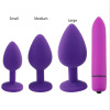 Foreign trade sex silicone anal plunder combination 4 sets of 10 frequency anal vibrator sex toy anal masturbation factories